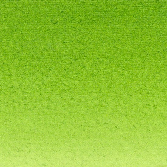 ART SPECTRUM WATERCOLOURS ART SPECTRUM WATERCOLOURS Art Spectrum Watercolour 10ml Sap Green Permanent