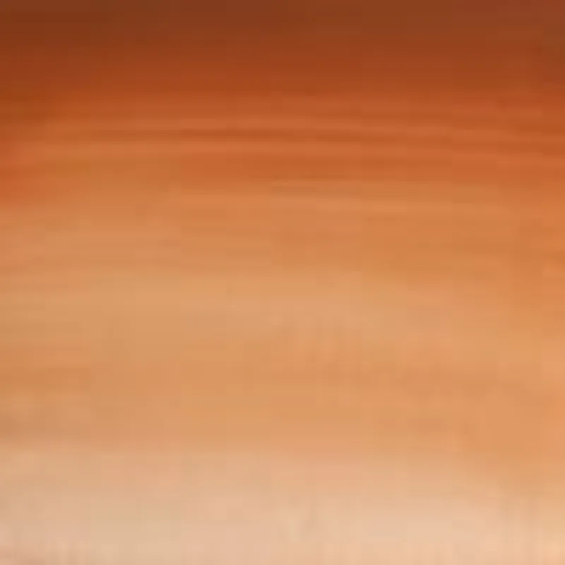 WINSOR & NEWTON WATERCOLOURS WINSOR & NEWTON WATERCOLOURS Brown Ochre 5ml W&N Watercolours