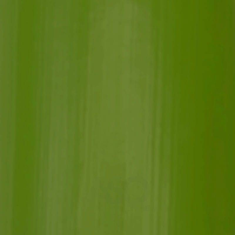 OLD HOLLAND OLD HOLLAND C50 Old Holland Oil Colour Chromium Oxide Green