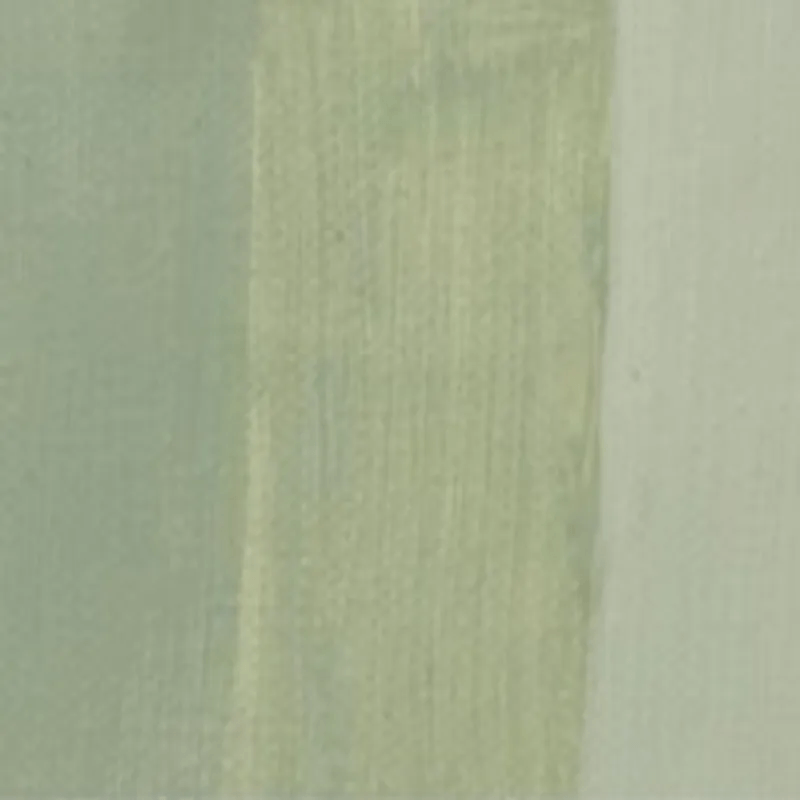 CHARVIN FINE CHARVIN Charvin Fine Oil 150ml Ash Green