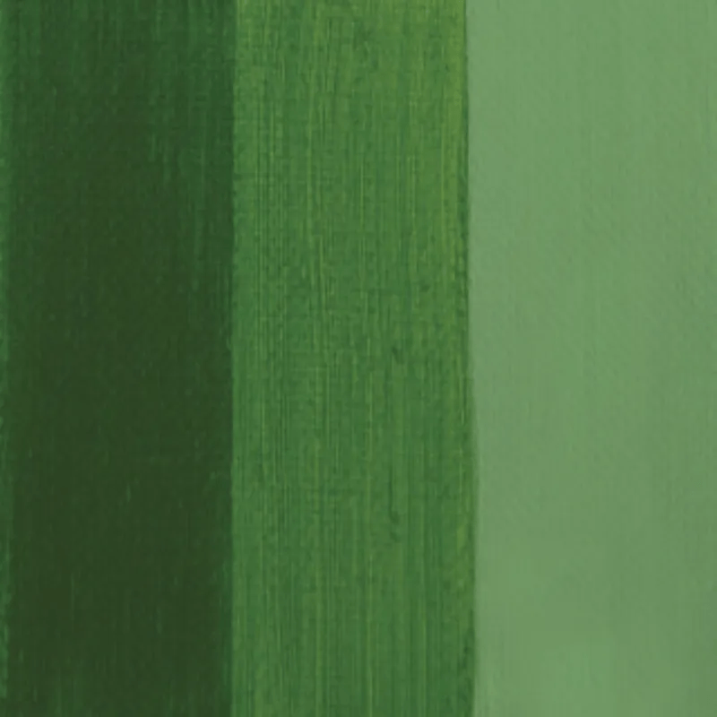 CHARVIN FINE CHARVIN Charvin Fine Oil 150ml Sap Green