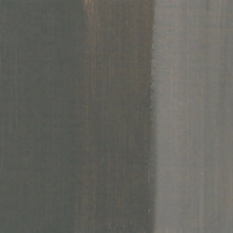 CHARVIN FINE CHARVIN Charvin Fine Oil 150ml Volcano Grey