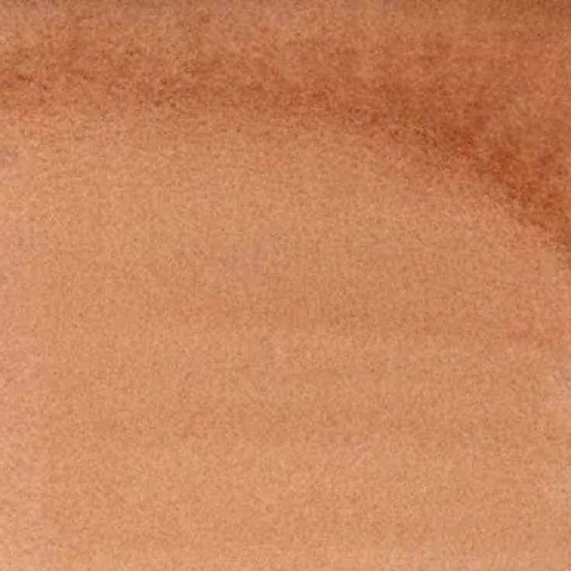 DANIEL SMITH 15ML DANIEL SMITH Daniel Smith Burnt Sienna Light 15ml