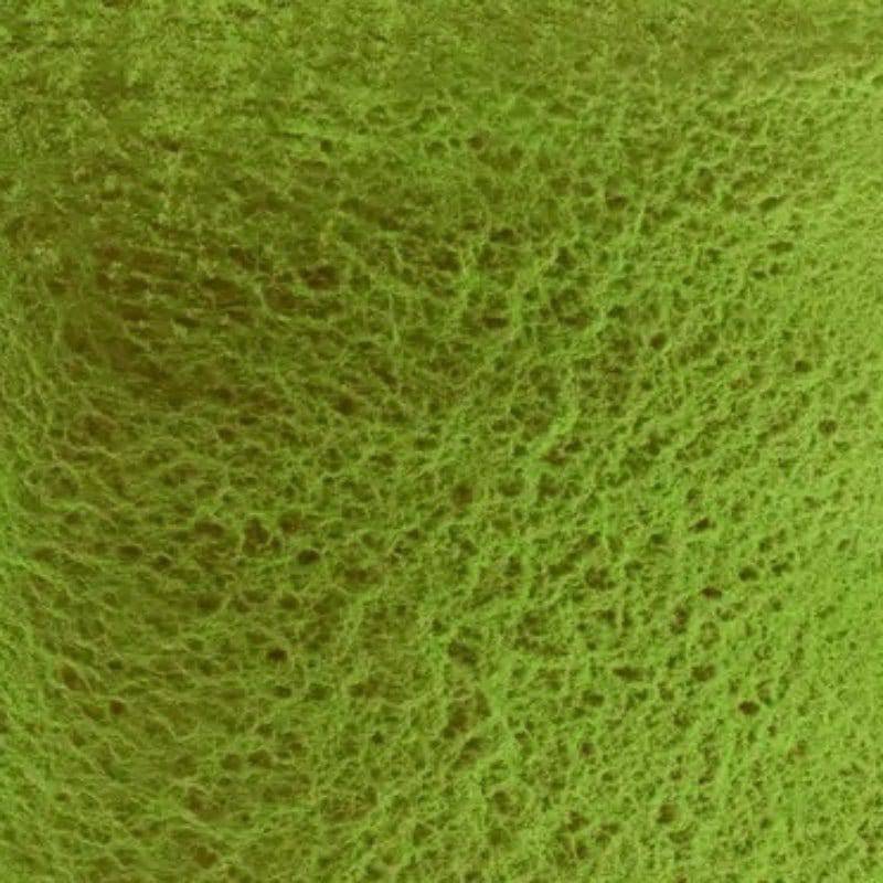 DANIEL SMITH 15ML DANIEL SMITH Daniel Smith Green Apatite Genuine 15ml