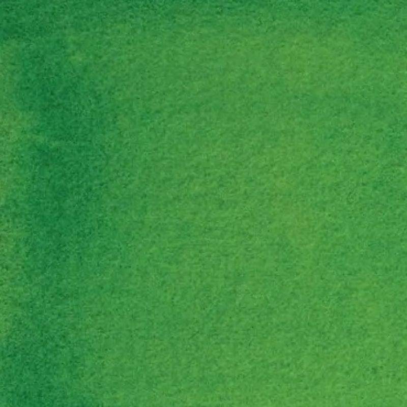 DANIEL SMITH 15ML DANIEL SMITH Daniel Smith Hooker's Green 15ml