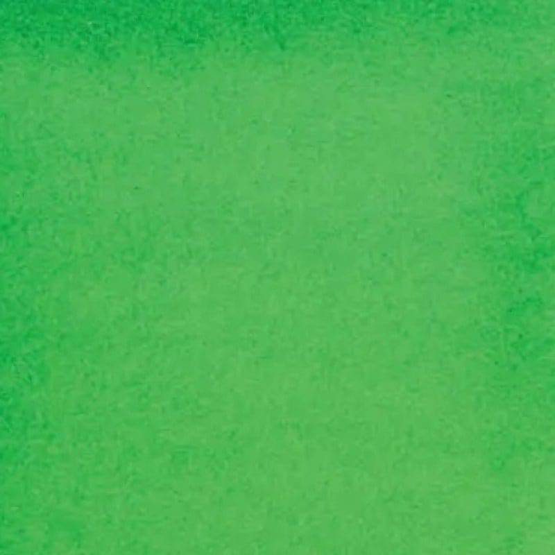 DANIEL SMITH 15ML DANIEL SMITH Daniel Smith Permanent Green Light 15ml