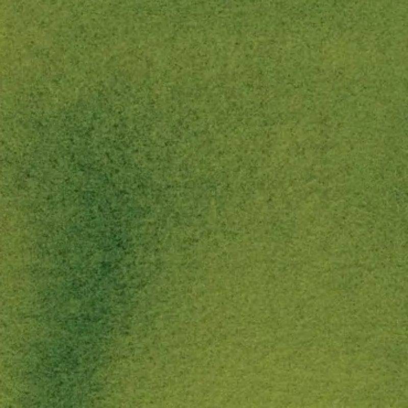 DANIEL SMITH 15ML DANIEL SMITH Daniel Smith Sap Green 15ml