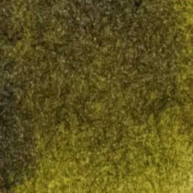 MICHAEL HARDING WATERCOLOURS MICHAEL HARDING Moss Green Michael Harding Watercolour 15ml