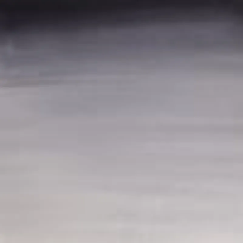 WINSOR & NEWTON WATERCOLOURS WINSOR & NEWTON WATERCOLOURS Payne's Gray 5ml W&N Watercolours