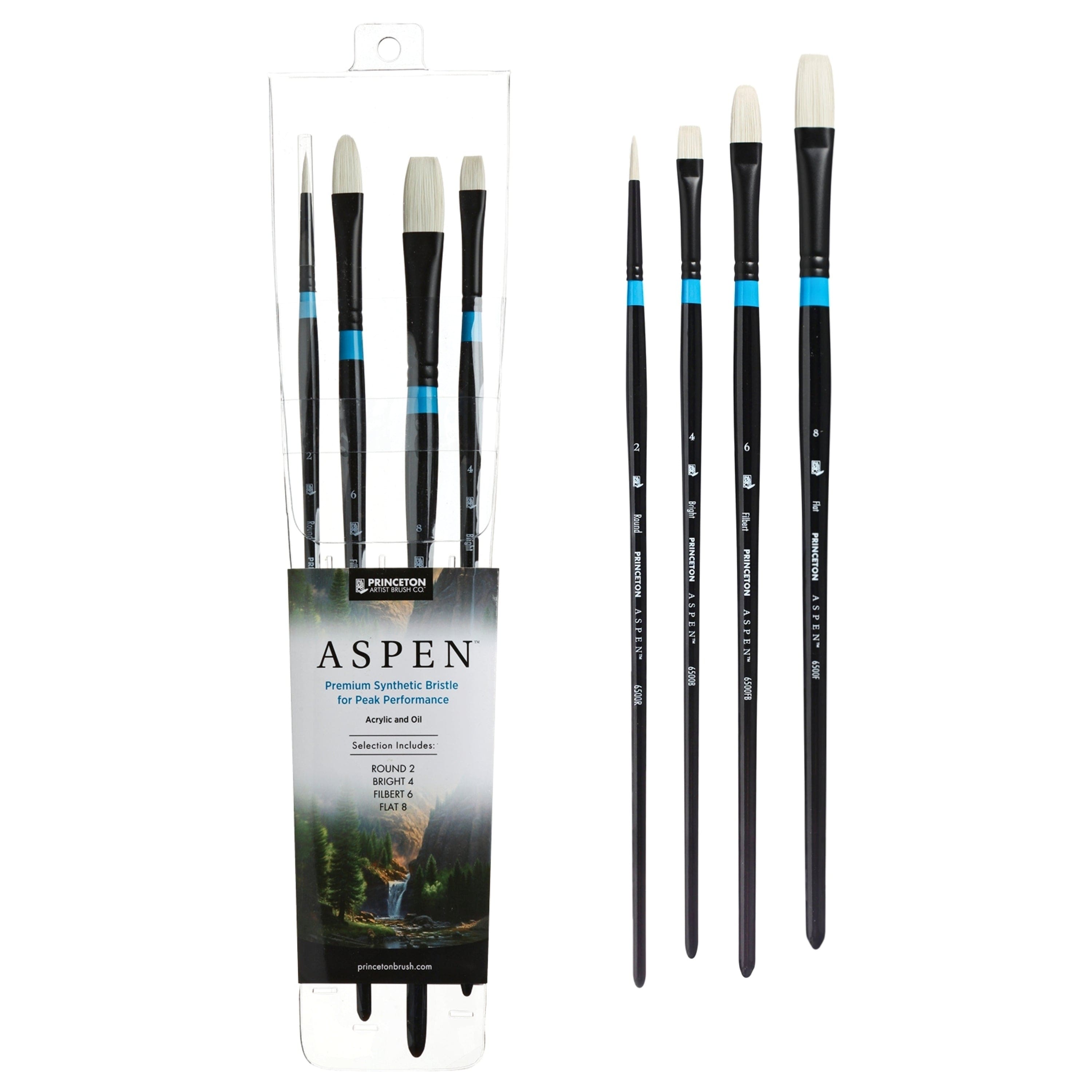 PRINCETON PRINCETON Princeton Aspen 6500 SYN LH Professional 4Pc Set