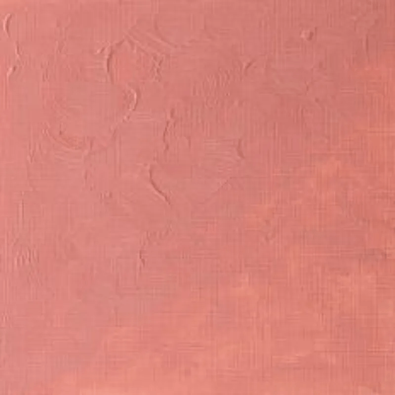 WINSOR & NEWTON WINTON WINSOR & NEWTON Winton Oils Pale Rose Blush 257