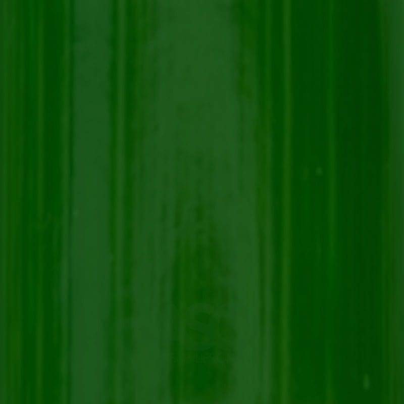 OLD HOLLAND OLD HOLLAND B292 Old Holland Oil Colour Sap Green Lake Extra