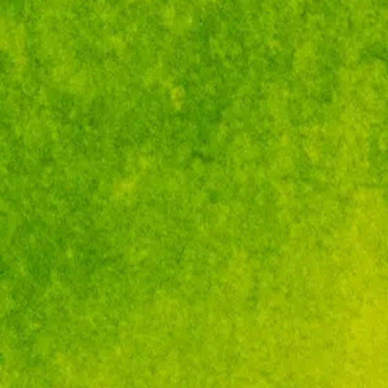 MICHAEL HARDING WATERCOLOURS MICHAEL HARDING Bright Green Lake Michael Harding Watercolour 15ml