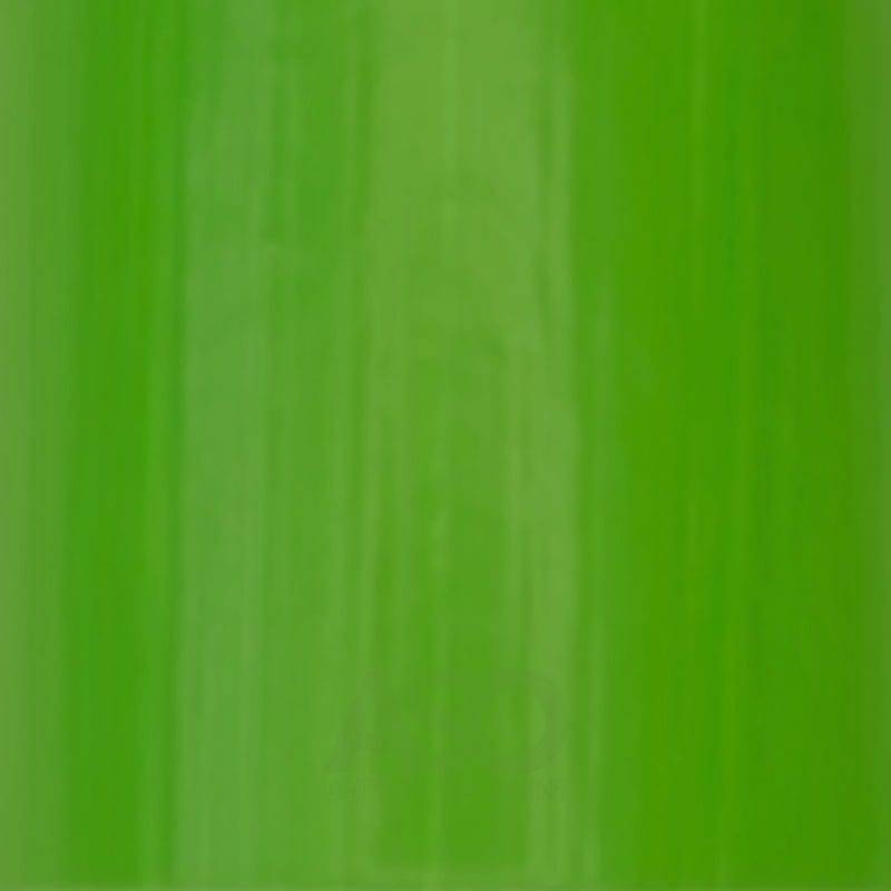 OLD HOLLAND OLD HOLLAND D44 Old Holland Oil Colour Cadmium Green Light