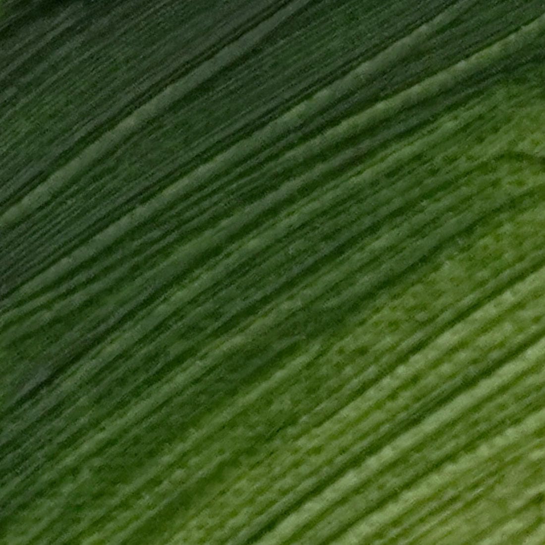 LANGRIDGE OILS LANGRIDGE Langridge Oil Terre Verte