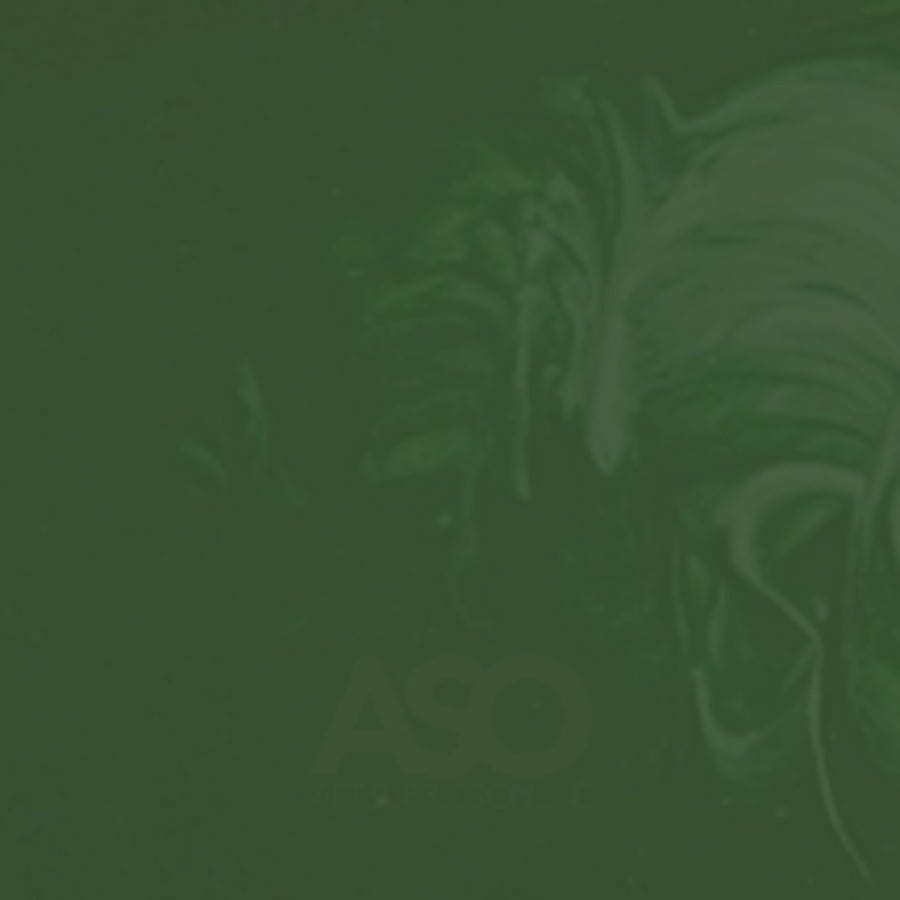 MATISSE STRUCTURE MATISSE Matisse STRUCTURE Hookers Green