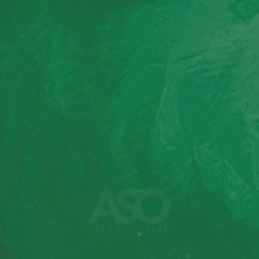 MATISSE STRUCTURE MATISSE Matisse STRUCTURE Matisse Emerald