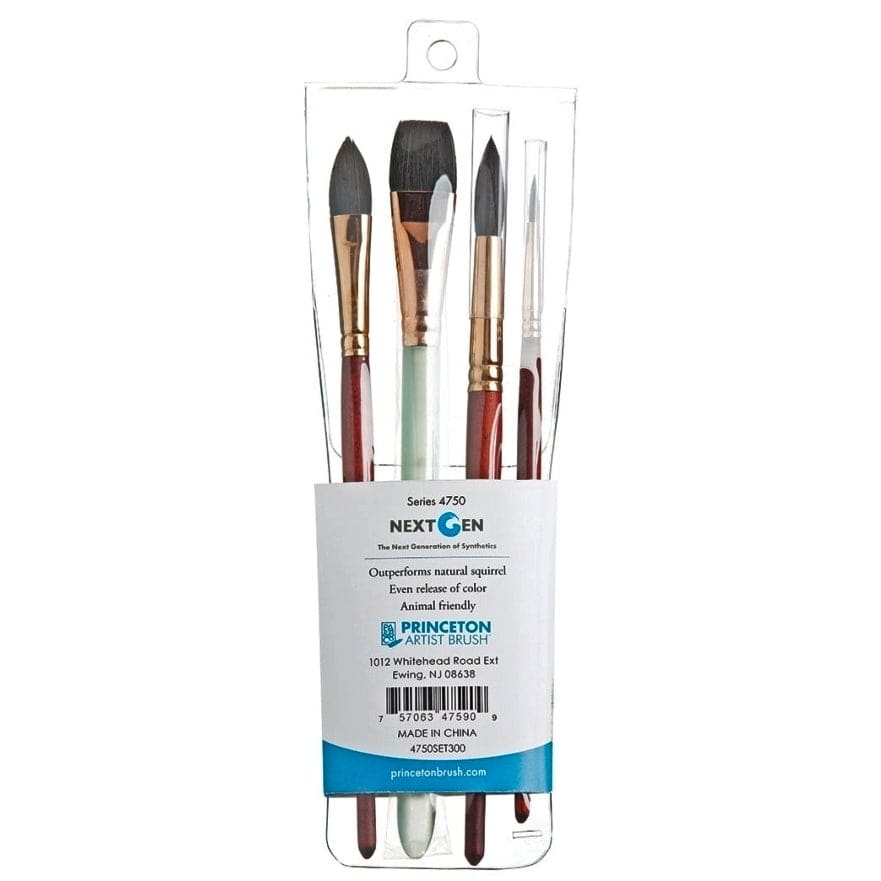 PRINCETON PRINCETON Princeton Neptune 4750 SH Professional 4PC Set