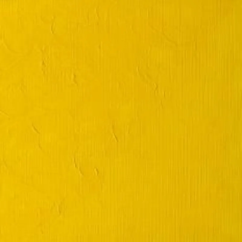 WINSOR & NEWTON WINTON WINSOR & NEWTON Winton Oils Cadmium Yellow Pale Hue 119