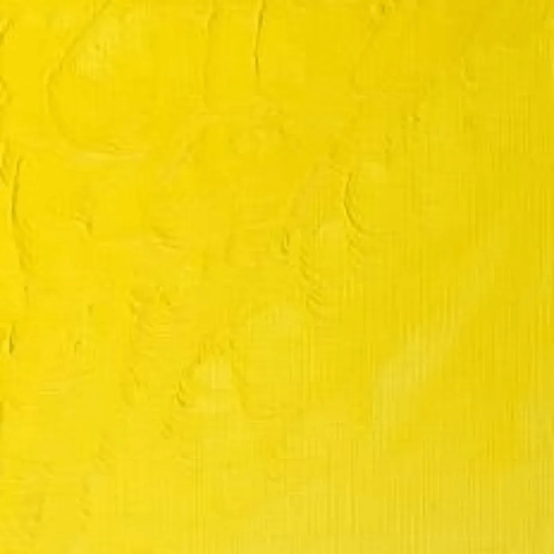 WINSOR & NEWTON WINTON WINSOR & NEWTON Winton Oils Lemon Yellow Hue 346