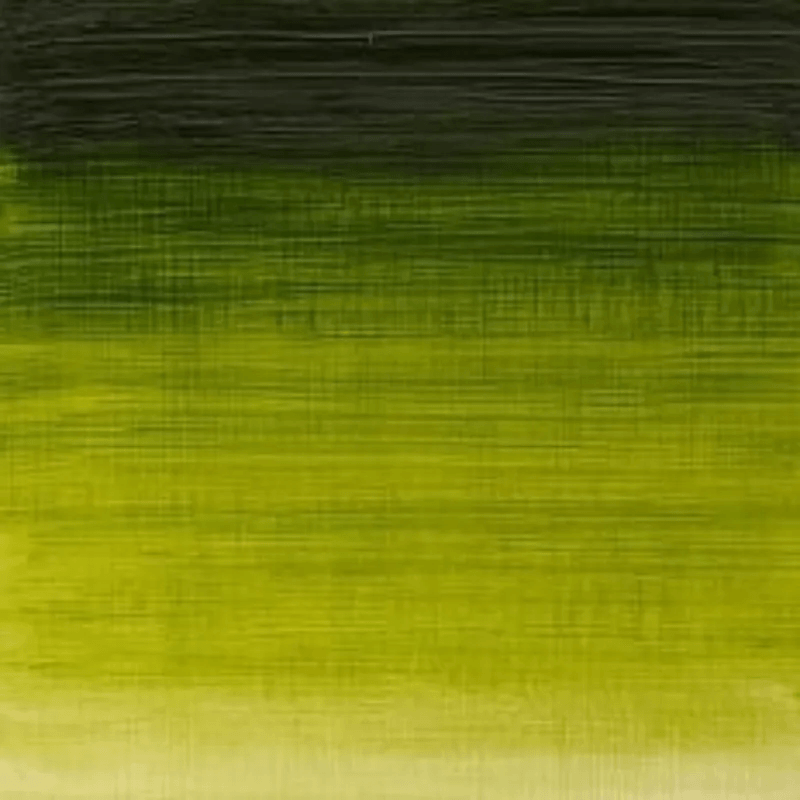 WINSOR & NEWTON WINTON WINSOR & NEWTON Winton Oils Sap Green 599