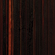 5060154043655