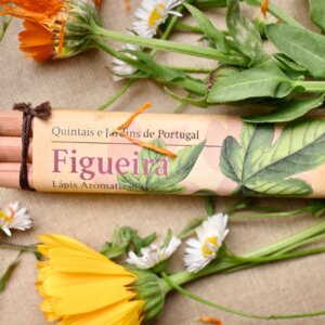 Fragrant Vintage Fig Pencils are on sale at The PaintBox but if you want to save more, become a PaintBox VIP Member for even deeper discounts and rewards!