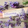 Viarco Garden Scented Pencils available online and in-store at The PaintBox Art Supplies Shop